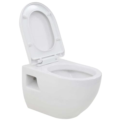 Rantry Inodoro suspendido moderno con cierre suave, diseño elegante y fácil de instalar, blanco, 36 x 50 x 41,5 cm