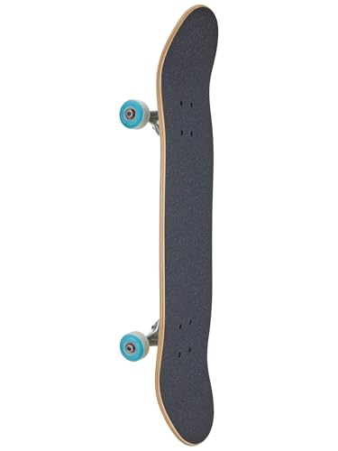 World Industries Detention Complete Skateboard