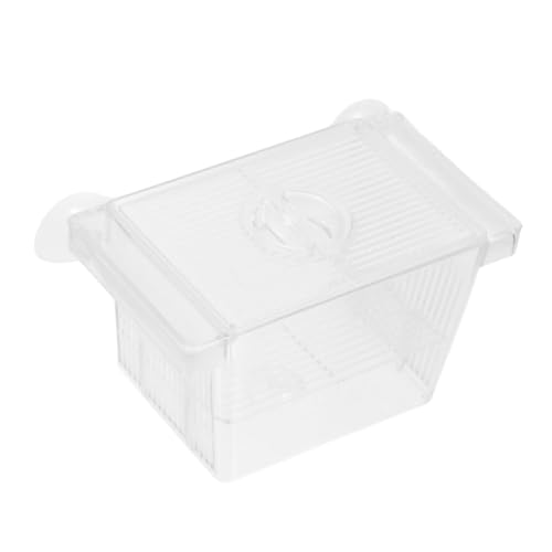 Toyvian Ztt[eBOwp甠d؂ttz{bNXɐBp{Bƒp