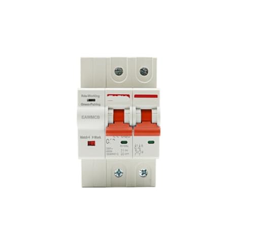 Disjoncteur 1P 2P minuterie interrupteur de disjoncteur intelligent automatique 100A
