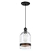 Westinghouse Lighting 6129800 Tarrant Craftsman-Style One Light Indoor Mini Pendant, Black-Bronze Finish, Clear Seeded Glass with Barnwood Band