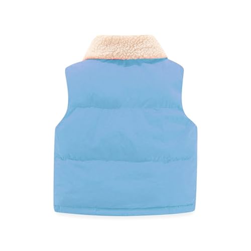 Toddler Boys Girls Hooded Puffer Vest Kids Winter Lightweight Sleeveless Buttons Fleece Puffy Weighted Down Line Jacket3