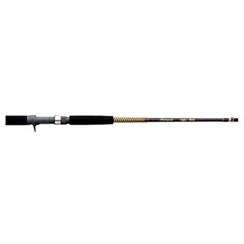 Shakespeare dos piezas Ugly Stik Bigwater profundizador eléctrico...