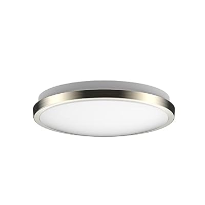 DYMOND LED Ceiling Light Flush Mount 10 Inches Ceiling Light Fixture Dimmable for Bathroom, Kitchen, Laundry Room (4000K Natural Daylight, 10 inches)