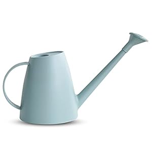 Bncxdc Moderne gieter, kleine, gieter voor kamerplanten, 1800 ml, lange uitloop, gemakkelijk te gieten gieter met afneembare douchekop, kleine gieter voor binnen, buitenplanten, tuin, bloem, bonsai