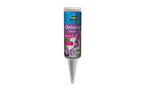 Westland Orchideen Vitalkur, 40 ml – Pflanzendünger für gesundes Wachstum und Blüte, gebrauchsfertiger Flüssigdünger für einen Monat