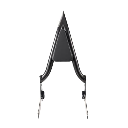 Dossier Passager Moto Amovible avec Coussin Noir pour Sportster XL 1200 883 2004-2021
