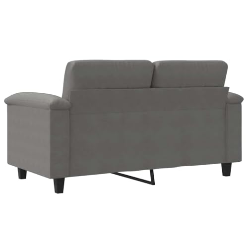 Sofá de 2 plazas cómodo en microfibra gris oscuro con soporte metálico resistente de 150 cm 8