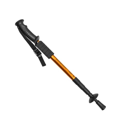 A~Lk nCLO|[ gbLOp EH[LOXeBbN y (Gold)