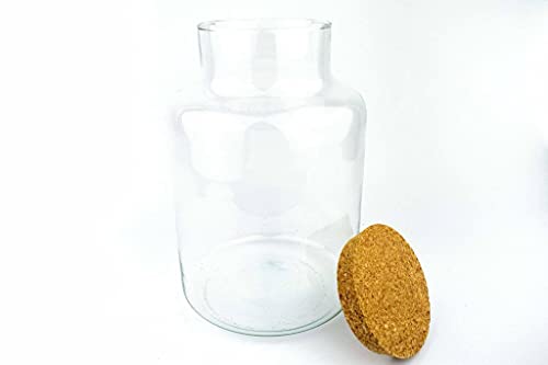 Gesloten terrarium container | 27 cm met kurkdeksel - Afbeelding 3