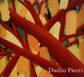 Paperback Duilio Pierri Obras 1975 - 2007 [Spanish] Book