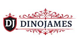 Image of DinoJames Batch Coding Ink Pads (Pack of 10) for 6mm Letter Size Machines - Model No. 6mm Compatible SG 556 or 666 All Modal 60x40mm