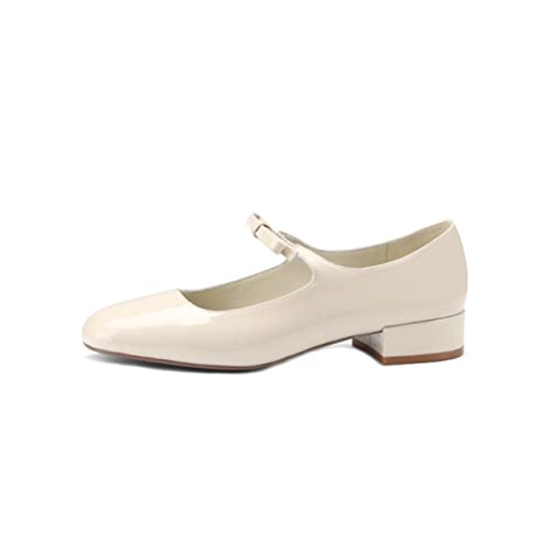 pvX [q[ fB[X 22.0cm wlC tbgV[Y r ₷ ɂ _炩 y ʋ ʊw 񎟉 F s ؂ 傫TCY я  芴 RtH[gV[Y Xb|