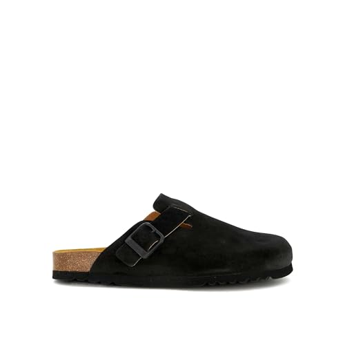 Scholl Olivier New
