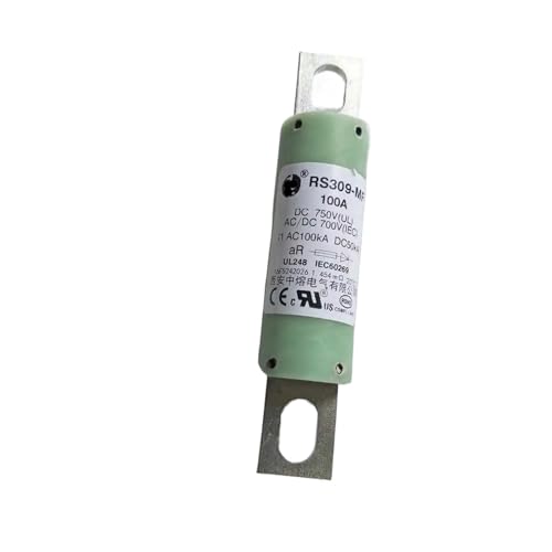Fusible eléctrico DC de alta seguridad 750V 100A para sistemas industriales RS309-MF