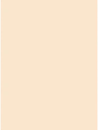 Pacon Medium Weight Tagboard, Manila, 9" x 12", 100 Sheets