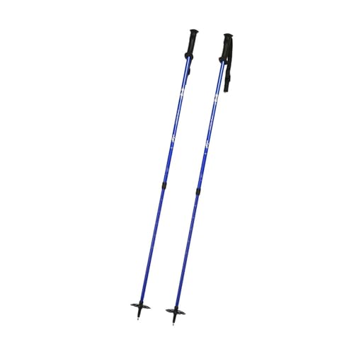 ski poles