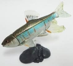 Amazon 食玩 タカラ チョコq 日本の動物 第10弾 235b オイカワ 非繁殖期 通販