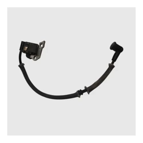 Bobine d'allumage moteur EB600 pour entretien souffleur feuilles