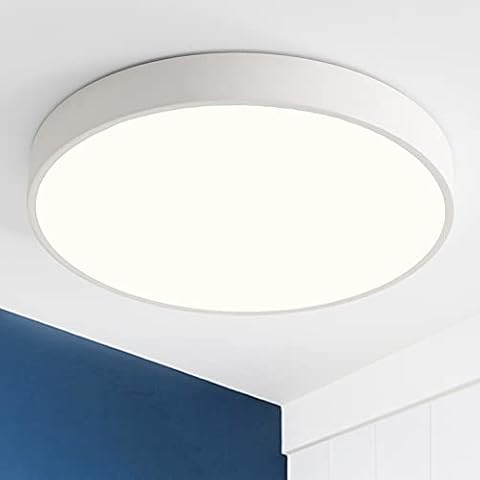 Style home 24W Deckenleuchte LED Deckenlampe ultra dünne Ø30x4cm Cover