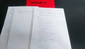 駿台　夏期講習プリント　数学の応用問題 三森先生　井辺先生　小山先生 駿台 20年度最新版 三森司先生 通期・春期・夏期 高3エクストラ数学