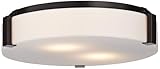 Possini Euro Design Possini Euro 16' Wide Modern Flush-Mount Ceiling Light