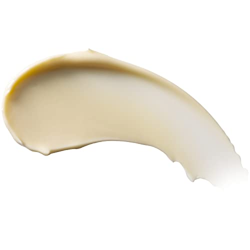 Burt's Bees Body Lotion for Normal to Dry Skin with Milk & Honey, 12 Oz (Package May Vary) - image 3