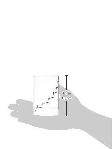 Image of Borosil Vision 6pc Transparent Drinking Glass | Borosilicate Glass Tumblers for Water, Cold Drinks, Juice | Flame Proof, Microwave & Dishwasher Safe | for Daily use & Gifting (Black Krip, 295 ml)