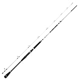 Spro Salty Beast Nano Jig BC 240cm 150g - Meeresrute, Baitcasterrute, Spinnrute, Pilkrute, Salzwasserrute, Rute zum Hochseeangeln, Jigrute