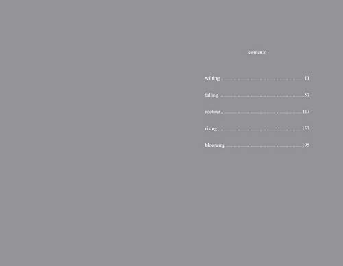 The Sun And Her Flowers #TOP2