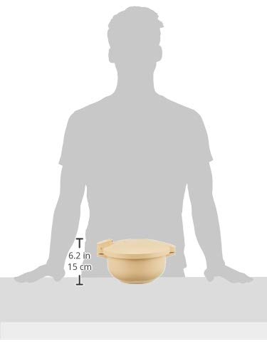 Amazon｜マイヤー(Meyer) 電子レンジ圧力鍋 2.3L ポリプロピレン 簡単
