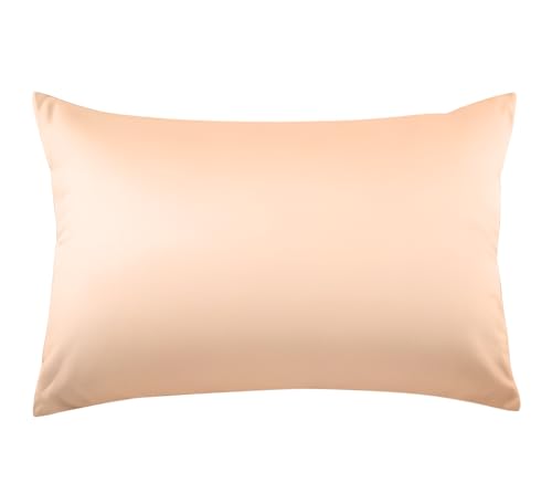 Huibao Jo[ 43 63 100 300{xn Rbg s[P[X zei  ʋC RۖhL _jh~ n _炩 􂦂 Iׂ13F I[V[Yi43×63cm,Vpj