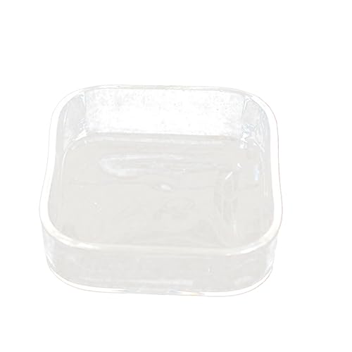 Mikikit Reptile Pet Feeder Bowl Thicken Glass Feeding Container for Tortoise Lizard Easy to Clean Transparent Dish for Water Food Versatile Use for Animals and Plants