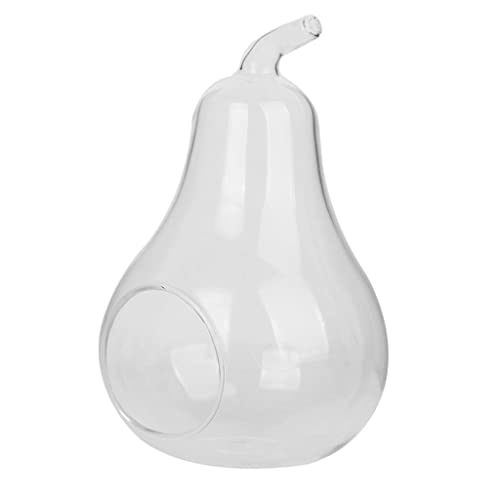 Vase suspendu en verre transparent en forme de poire en borosilicate résistant à la chaleur, 14 x 9 cm, transparent, fait à la main pour décoration de...