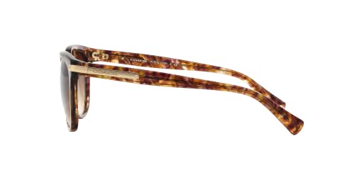 Coach HC8132 Sunglasses, Light Brown Confetti Tortoise/Brown Gradient, 57 mm2