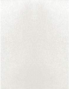 Curious Ice Silver (Snow) 111 lb. Cardstock Paper - 8.5 x 11 inch Cover - 25 Sheets