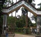 Media Matters & Bangladeshi Forests