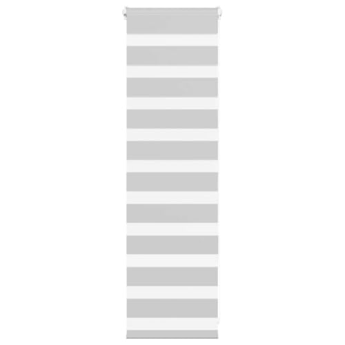 Estor Enrollable Cebra Gris Claro 50x100 cm, Tejido Ancho 45.9 cm, 100% Poliéster, Control de Luz, Privacidad y Protección Solar, Montaje en Pared o Ventana, Diseño Moderno