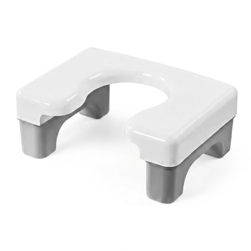 �����C�̈֎q �����p���֎q ���ω׏d100kg ���Ⴊ�ݎ��g�C���⏕�֍� ���ʈړ����֊�p�֎q ����݌v �D�w�E����Ҍ��� �X�N���b�g�⏕ ���[�^�C�v�i�O���[�j �ƒ�p�i ���s�A���i (���[�^�C�v,�O���[)