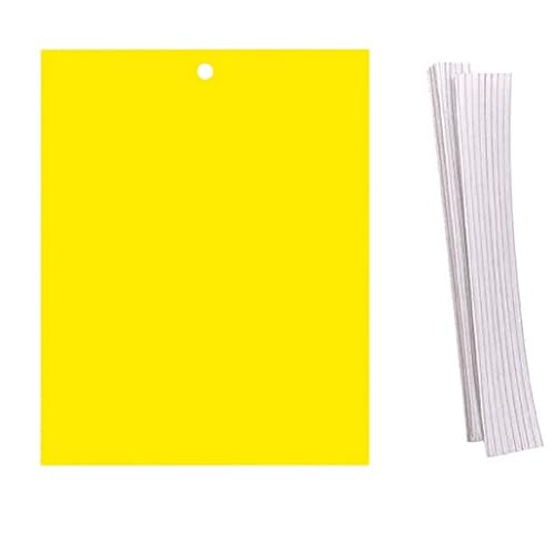 100 trappole cromatiche | Insetti volanti | Alberi da frutto | Serre | Mosche | Parassiti |