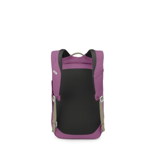Image of Osprey Arcane Large Day Shiso Purple Heather OS