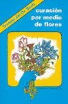 Curaci?n por medio de flores 9687149094 Book Cover