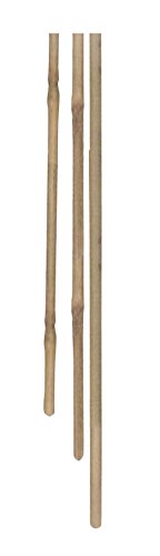Biotop 6040201 - Pack de 7 tutores bambú Natural de 8-10 cm, Color Natural