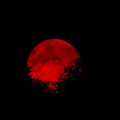 Blood Moon Tomorrow: Total Slay or Total Flop? No Cap, It&rsquo;s Bussin&rsquo;! Podcast Por  arte de portada