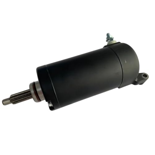 Starter Motor Assembly F02J10000001 para Segway Fugleman miniatura 4