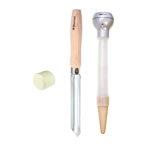 How to take care of bonsai tree plant youtube