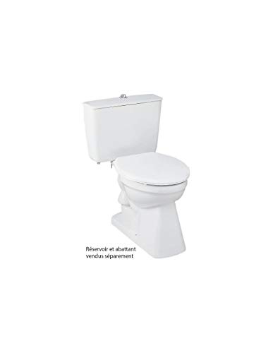 Cuvette WC seule à sortie verticale Aspirambo Porcher