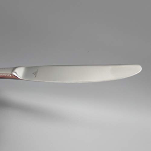 Lenox Gorham Ribbon Edge Frosted 5-Piece Stainless Steel Flatware Place Setting, Service for 1, Silver -