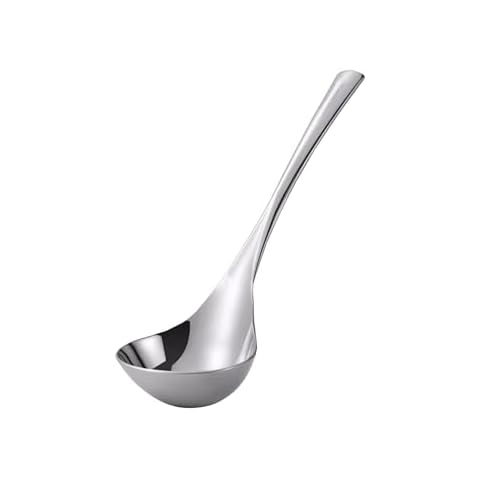 Wenkoni Small Soup Ladle,Sauce ladle,Gravy Soup Spoon Ladle, 1 Pack Hollow handle SUS 304 Stainless Steel 8‘’ Ladle (Color:Silver). Cover