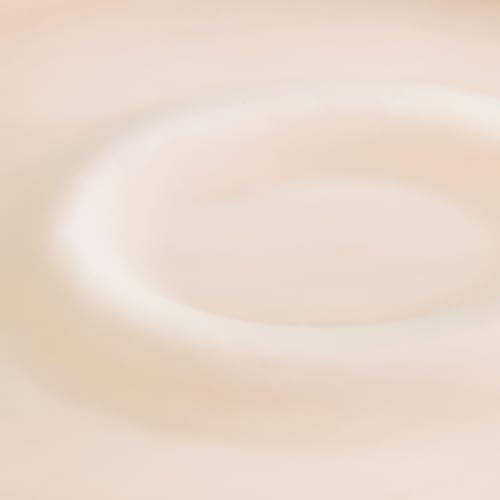 Image of Home Centre |Frostra Hernan Frosted Glass Chip and Dip Platter|Serveware|Serveware|Chip and Dip|Off White